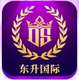 东升国际